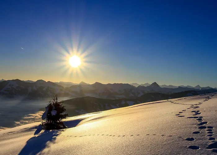 Alpine Auszeit-2 By Interhome 奥伯劳